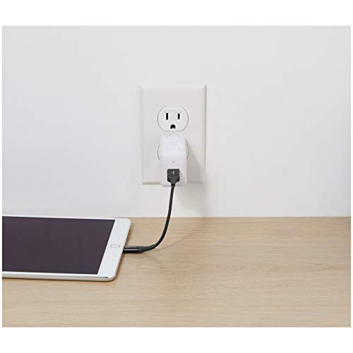 AmazonBasics - Cable USB A con conector Lightning, colección premium, 10 cm, Pack de 1 - Negro