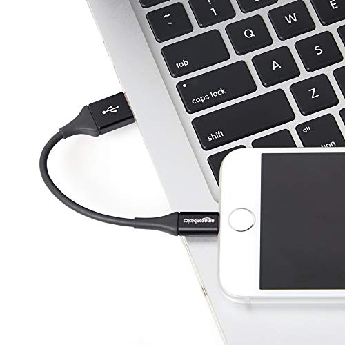 AmazonBasics - Cable USB A con conector Lightning, colección premium, 10 cm, Pack de 1 - Negro
