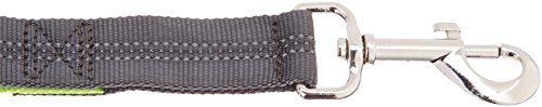 AmazonBasics - Correa elástica para perros manos libres con mango doble, 0,9 m, Verde