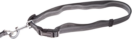 AmazonBasics - Correa elástica para perros manos libres con mango doble, 0,9 m, Verde