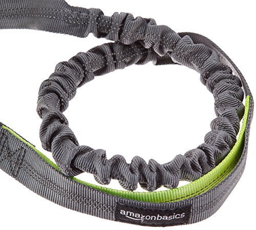 AmazonBasics - Correa elástica para perros manos libres con mango doble, 0,9 m, Verde