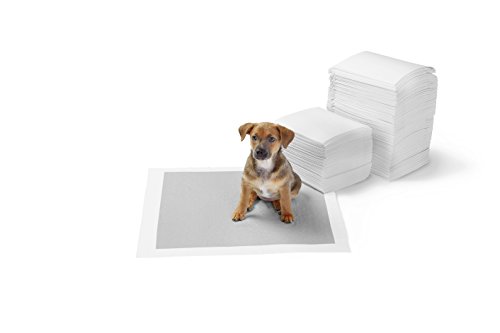 AmazonBasics - Empapadores de adiestramiento para perros, carbón, normal, 120 unidades