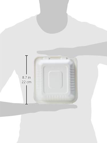 AmazonBasics - Recipientes de comida desechables, diseño de almeja, con bisagras, convertibles en abono ecológico y biodegradables, 22 x 22 x 8 cm, 25 unidades