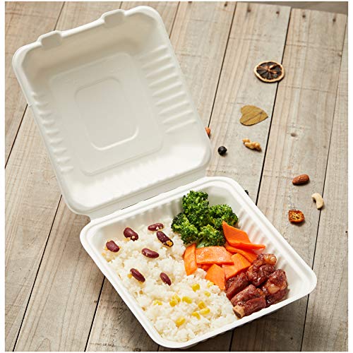 AmazonBasics - Recipientes de comida desechables, diseño de almeja, con bisagras, convertibles en abono ecológico y biodegradables, 22 x 22 x 8 cm, 25 unidades
