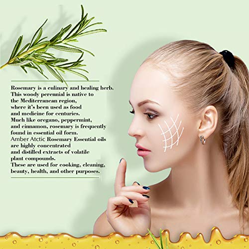 AMBER ARCTIC Romero Aceite Esencial Para El Crecimiento Del Cabello, 100% Pura Terapia de Plantas Orgánicas Frescas Aceite de Romero 10Ml / 0.33Oz