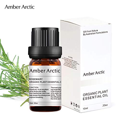 AMBER ARCTIC Romero Aceite Esencial Para El Crecimiento Del Cabello, 100% Pura Terapia de Plantas Orgánicas Frescas Aceite de Romero 10Ml / 0.33Oz