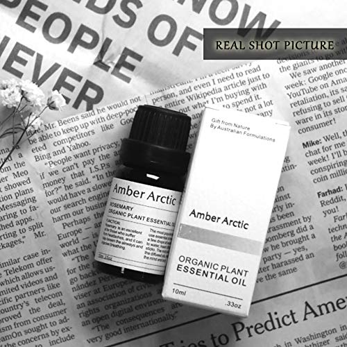 AMBER ARCTIC Romero Aceite Esencial Para El Crecimiento Del Cabello, 100% Pura Terapia de Plantas Orgánicas Frescas Aceite de Romero 10Ml / 0.33Oz