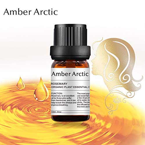 AMBER ARCTIC Romero Aceite Esencial Para El Crecimiento Del Cabello, 100% Pura Terapia de Plantas Orgánicas Frescas Aceite de Romero 10Ml / 0.33Oz