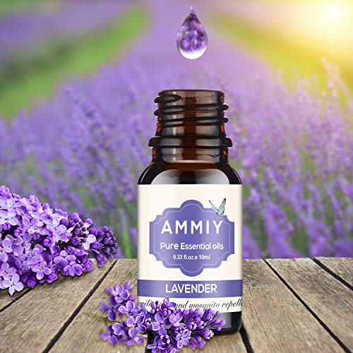 AMMIY aceites esenciales 12 * 10 ml, eucalipto, limón, menta, lavanda, naranja dulce, árbol de té, rosa