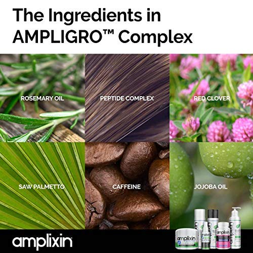 Amplixin Scalp Therapy Shampoo - Tratamiento para el cuero cabelludo seco y con picazón con aceite de árbol de té - Fórmula de prevención contra la caspa y psoriasis - Sin sulfato, 8 oz