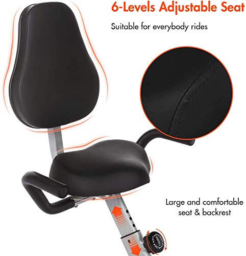 ANCHEER Bicicleta Estática Plegable Bicicleta de Ejercicio 10 Niveles de Resistencia Magnética, con App, Soporte para Tableta Capacidad de Peso:120kg (Gris + Respaldo)
