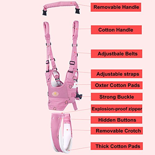 Andador Toddler Walking Assistant, Autbye De pie y caminando Aprendizaje Ayudante Para bebé, 4 en 1 funcional Arnés para caminar de seguridad Walker para bebé 7-24 meses (rosado)