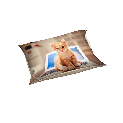 Andrui Funda Nórdica Fashion Gatito Funda de Edredón Y Funda de Almohada Juego de Cama (Gato 2, 180×220cm (para Cama de 105))
