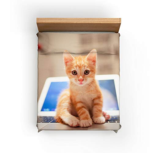 Andrui Funda Nórdica Fashion Gatito Funda de Edredón Y Funda de Almohada Juego de Cama (Gato 2, 180×220cm (para Cama de 105))
