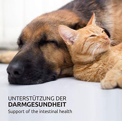 AniForte Cáscaras de psyllium para caballos, perros y gatos 1kg - Producto natural, ricas en fibra, psyllium indio para caballos en calidad de alimento crudo