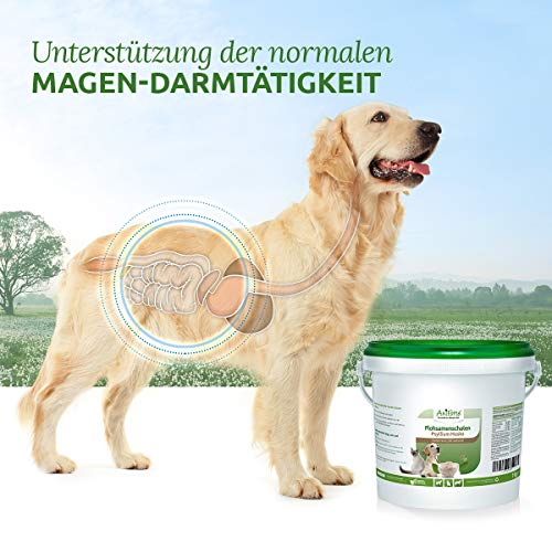 AniForte Cáscaras de psyllium para caballos, perros y gatos 1kg - Producto natural, ricas en fibra, psyllium indio para caballos en calidad de alimento crudo