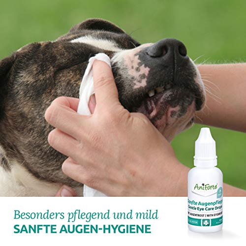 AniForte Gentle Eye Care 30ml - Para perros, gatos y pequeños animales, producto específico para el cuidado de los ojos, especialmente para una limpieza suave y delicada