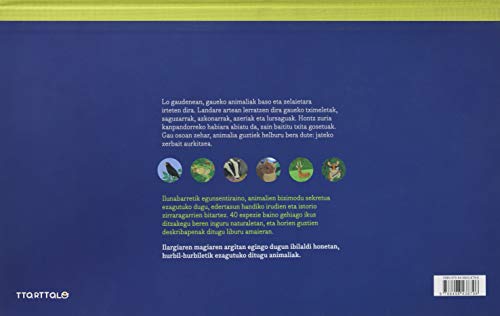 Animalien gaua (Animalien mundua)