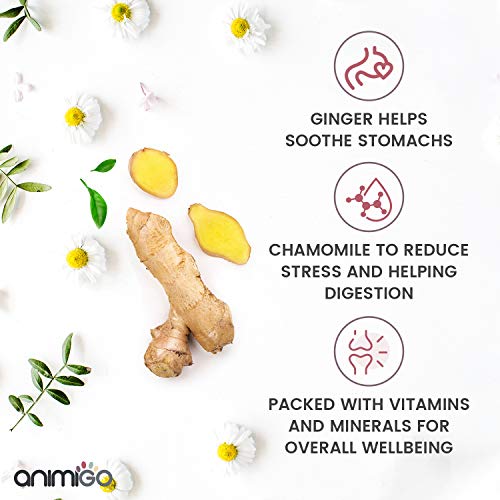 Animigo Calmante para Gatos. Suplemento Tranquilizante Natural. Nervios, Ansiedad y Estres de Viajes, Separaciones, Ruidos Fuertes y Más. con Jengibre, Manzanilla y Levadura. 60 Cápsulas Blandas