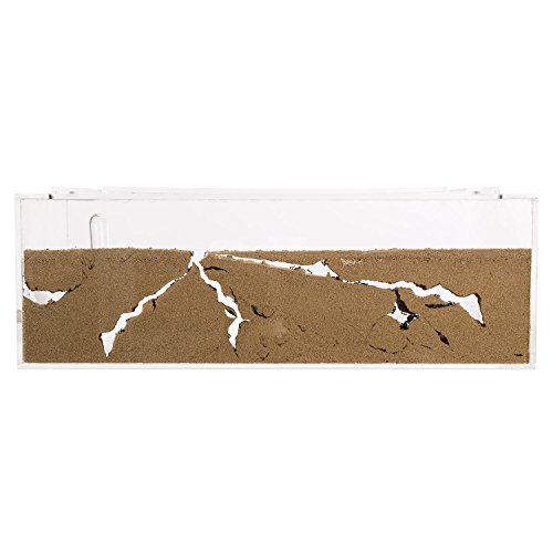 AntHouse - Hormiguero Natural de Arena - Kit Inicio Big Acrílico 30x15x10 cm (Hormigas Gratis)