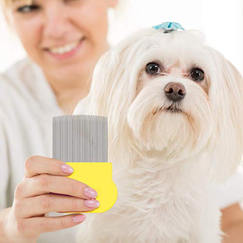 AOSEA 6 Piezas Peine para pulgas para Gatos, Perros, piojos, peines de Dientes Finos, Peine de peluquería para Eliminar Las Marcas de Pelo flotantes, Herramienta de eliminación de garrapatas