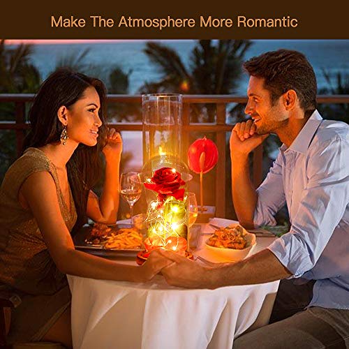 APERIL La Bella y la Bestia Rose Roja Kit Completo con Cúpula de Cristal Luz LED y Base de Madera Marrón Cubierta para la Decoración San Valentín Boda Fiesta Cumpleaños Aniversario Día de la Madre