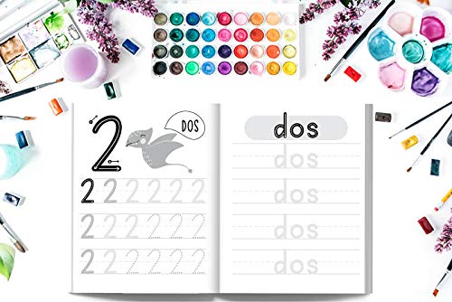 Aprende a escribir los números: Ejercicios de escritura: números y cuentas: Preescolar y Primaria: “D” de DINOSAURIO: Cuaderno de actividades para ... y niñas de educación infantil (3 a 5 años)