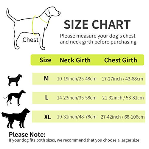 Arnés para Perro Transpirable, Arnés Pecho Antitirones Impermeable con Lineas Reflectante - Arnes de Perro Duradero con Chaleco Acolchado Ajustable para Perros Mediano/Grande +Tazón Plegable Azul