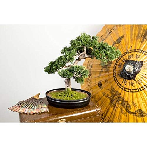 artplants.de Bonsái de Cedro Artificial en Cuenco Decorativo, 230 Ramas, 40cm - Bonsái Decorativo - Bonsai Artificial