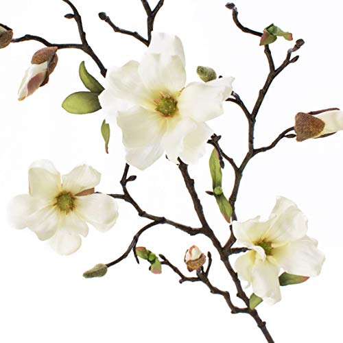 artplants.de Rama de Magnolia Artificial Lilo, 4 Flores, yemas, Crema-Blanco, 75cm - Planta Artificial - Ramas con Flores