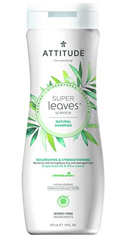 Attitude Super Leaves Champú Nutritivo y Fortalecedor