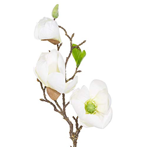 Aufora Magnolia - Tallo de Flores Artificiales, 50 cm de Alto, pequeño, Color Blanco, 53 cm