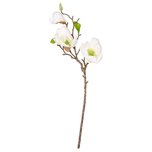 Aufora Magnolia - Tallo de Flores Artificiales, 50 cm de Alto, pequeño, Color Blanco, 53 cm