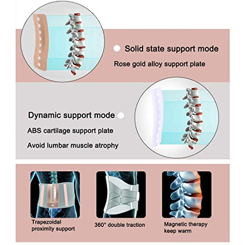 Autocalentador Cintura De Apoyo, Terapia Magnética Correa De Cintura, Soporte Lumbar Rehabilitación Hombres / Mujeres Postura Del Cuerpo Corrección Del Vientre Útero Calor, 3 Juntas Reemplazables,Gris