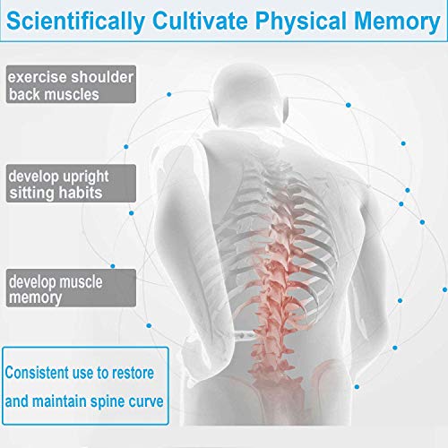 Babacom Corrector de Postura Espalda Hombro 8-16 años y Mujer Espalda Recta Soporte, Prevenir la miopía Faja Corregir Postura Sentado Enderezar Aliviar la Joroba