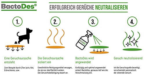 BactoDes Animal Animal Concentrate Odor Remover El limpiador probiótico neutraliza biológicamente los olores de mascotas, gatos, perros, etc.