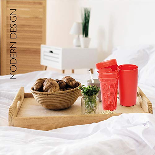 BALIBETOV Despolvillador para Yerba Mate I Accesorio para Calabaza Mate I Yerbera Separa polvillo de la Yerba I Reduce Acidez (Rojo)