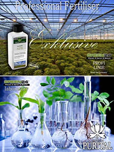 Banana Musa Ensete - Fertilizante líquido de alta tecnología, NPK (nitrógeno / fósforo / potasio), fertilizante para raíces y hojas - Abono para plantas