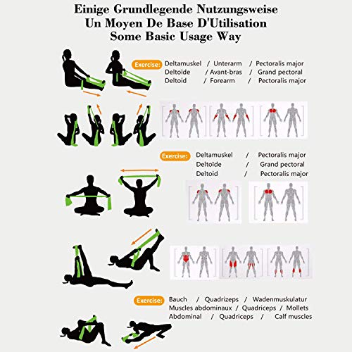 Bandas Elasticas Fitness 3 Piezas Resistencia Bandas de Ejercicios para Yoga, Pilates, Crossfit, Estiramientos, Fisioterapia, Entrenamiento de fuerza, Mujer y Hombre