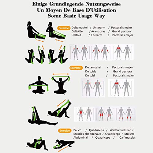 Bandas Elasticas Fitness Goma Resistencia Bandas de Ejercicios para Yoga, Pilates, Crossfit, Estiramientos, Fisioterapia, Entrenamiento de Fuerza, 3 Cintas Elastica de Resistencia con Nivel de Marca