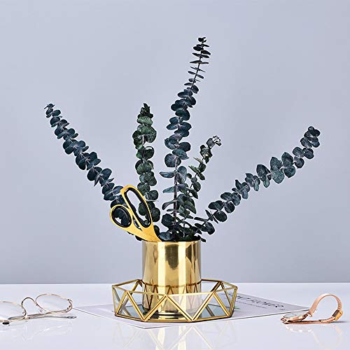 Bandeja de Almacenamiento de Joyas Cosméticas,Bandeja Decorativa de Metal Bandeja Organizador de Perfume de Joyería,Placa de Postre de Pastel Occidental,Cosmético Nórdico de Estilo Simple