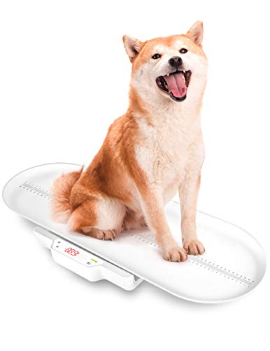 Báscula para bebés, Escala para mascotas,con bandeja de altura (Máx70cm) Mida el peso con precisión (Máx:220 lb) perfecto para niños pequeños.cachorros.gatos .adultos