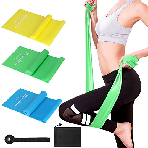 Bearbro Bandas Elasticas Fitness, Cintas Elasticas Fitness con 3 Niveles de Resistencia, Resistencia Bandas de Ejercicios para Yoga, Pilates,Estiramientos, Fisioterapia, Entrenamiento de Fuerz