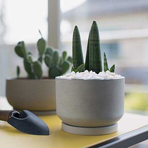 BELLE VOUS Piedra Decorativa - 3,6kg Mini Piedra Jardin Blanca Grava Decorativa Relleno Jarrón (1,2 cm) - Piedras Macetas, Decoracion Hogar, Tazón, Piedra Blanca Decorativa Florero