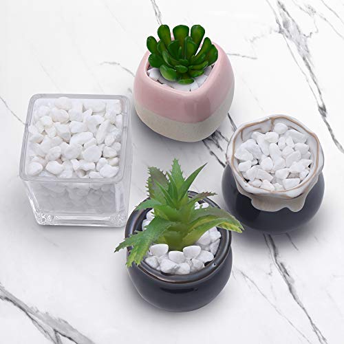 BELLE VOUS Piedra Decorativa - 3,6kg Mini Piedra Jardin Blanca Grava Decorativa Relleno Jarrón (1,2 cm) - Piedras Macetas, Decoracion Hogar, Tazón, Piedra Blanca Decorativa Florero