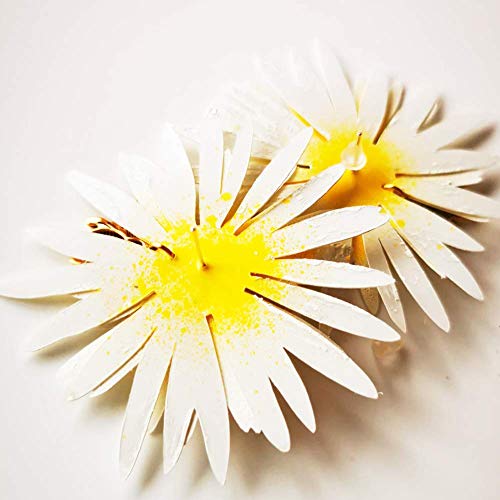 Bellis perennis - Pendientes de abeja - Margaritas pendientes - Joyas de tendencia - Joyas de margarita flor - Pendientes animales - Regalo
