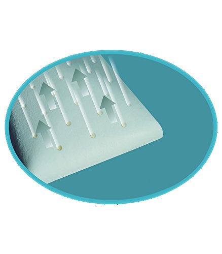 Belnou. Almohada Viscofresh Anti-calor con Viscoelástica Indeformable + Funda. 70 cm