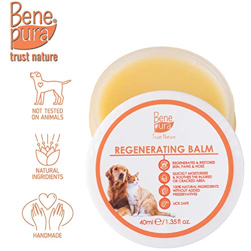 Bene Pura Trust Nature Bálsamo para Mascotas 100% Natural Regenerador - para Patas, Nariz y Piel - para Perros y Gatos 40ml