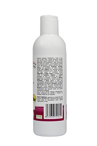 Benessence - CHAMPÚ ANTICAÍDA Orgánico en Aloe Vera Orgánico - 250 ml