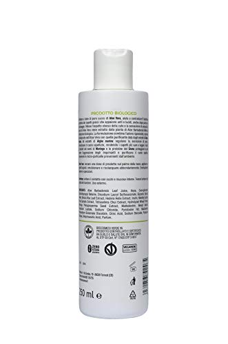 Benessence - CHAMPÚ CABELLO GRASO Orgánico en Aloe Vera Orgánico - 250 ml